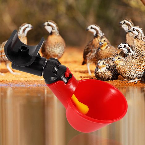5Pcs Abreuvoir Automatique pour Poules et Oiseaux, Gobelets d'Eau en Forme de Demi-Cercle Rouge, Support Inclus (1/5)