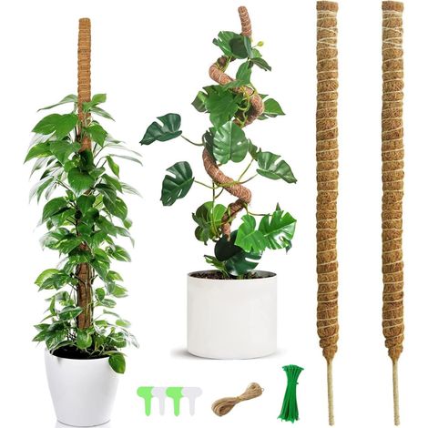 120 cm Tuteur Plante Grimpante Pliables, 2 Pièces Tuteur Coco, Plantes Poteaux en Mousse Sphaigne avec Serre Câbles, Etiquettes et Ficelle de Jute pour Maison Jardin de Support de Plante (1/5)