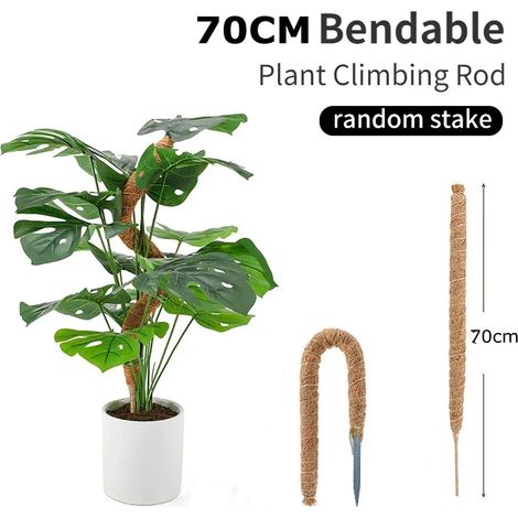 Tuteur flexible en fibre de coco (1 pièce, 70 cm) pour plantes grimpantes, idéal pour les palmiers et les vignes. Décoration florale pour balcon, jardin ou cour. (1/4)