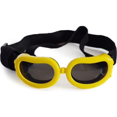 Accessoires pour animaux 2024, lunettes pour chats, lunettes pour chiens, lunettes de soleil, protection UV été (1/5)