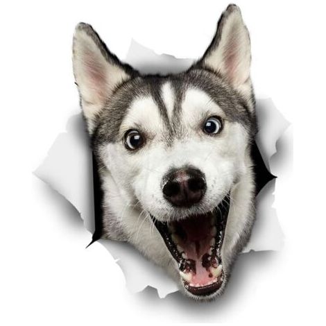 Autocollants pour chien 3D - Paquet de 2 - Happy Husky Pour mur, réfrigérateur, toilettes et Plus Husky Autocollants 10 x 12CM (1/5)