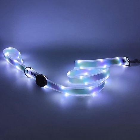 Laisse pour chien avec 3 modes d'éclairage. Rechargeable, cette laisse lumineuse de 1,2 mètre est idéale pour les promenades nocturnes et convient aux petits chiens. (1/5)