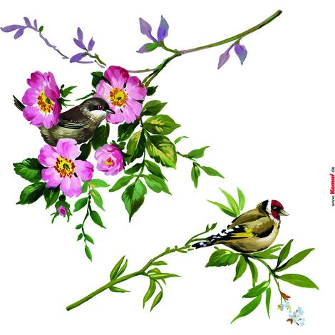 Komar Fenstersticker - Spring Fever - 31 x 31 cm - Fensteraufkleber - Naturmotiv (1/3)