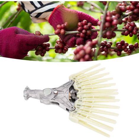 Râteau à dents de 26 mm d'ouverture, outil de récolte pour le café, le cacao et les olives (1/5)