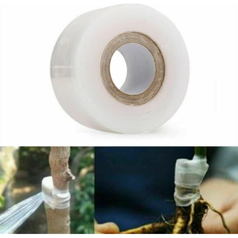 1 rouleau ruban à greffer, transparent, 30 mm x 120 m, auto-adhésif, pour greffage d'arbres fruitiers et pépinières (1/5)