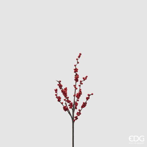 Ilex Ramo L.60 C4 (1/5)