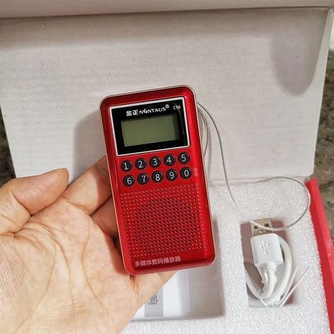Mini radio FM de poche, récepteur radio numérique portable, enceinte Bluetooth rechargeable, enregistreur externe/intégré, carte TF, lecture AUX (1/5)