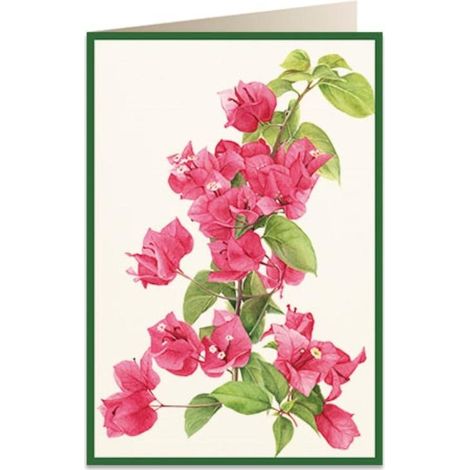 Cartolina B6 + busta 5933 Bougainvillea