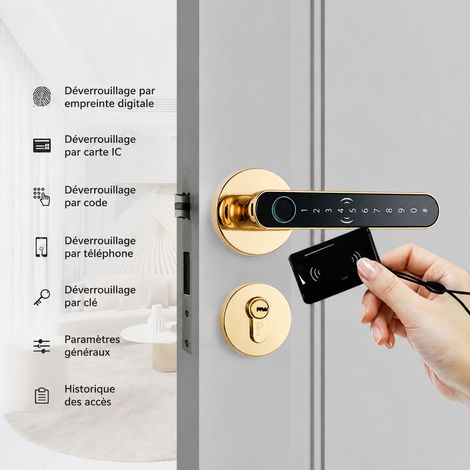 Serrure intelligente T83 dorée séparée à empreinte digitale pour porte intérieure t83 doré 28 × 19 × 10,5 cm 1,564 kg – Livraison gratuite