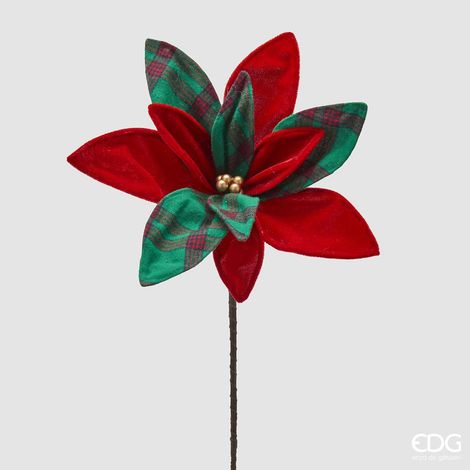 EDG Stella Natale Tartan Pick H 37 D 24 C4 (1/2)