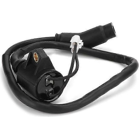 Ignition Coil ATV Replacement Accessory Fit for POLARIS SPORTSMAN 300 4X4 2008-2010 (1/4)