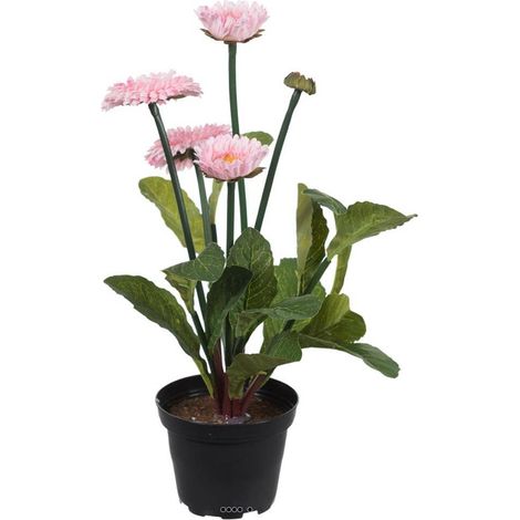 Bellis perennis, paquerettes artificielles en pot H 30 cm Rose pâle - couleur: Rose pâle