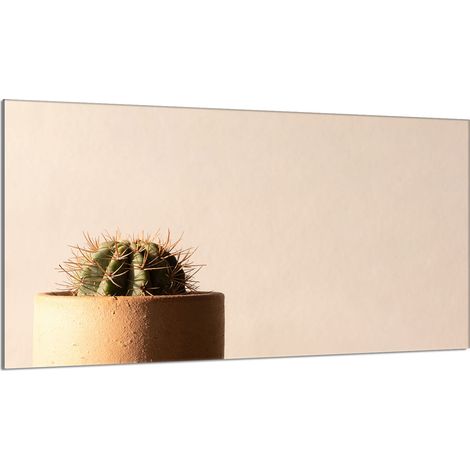 Protezione per piano cottura in vetro 90x52 Cactus (1/5)