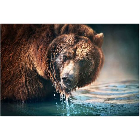 Affiche Grizzly d' Alaska - 60x40cm - made in France (1/5)