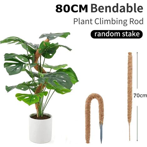 Tuteur flexible en fibre de coco (1 pièce, 80 cm) pour plantes grimpantes, idéal pour les palmiers et les vignes. Décoration florale pour balcon, jardin ou cour. (1/4)