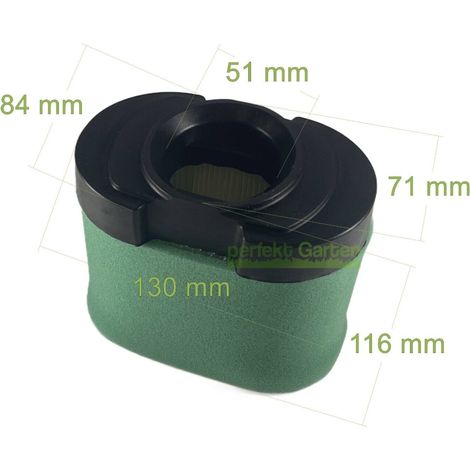filtre à air pour moteur Briggs & Stratton B&S 40, 44 et 49 modèles 792303, 4233 (1/4)