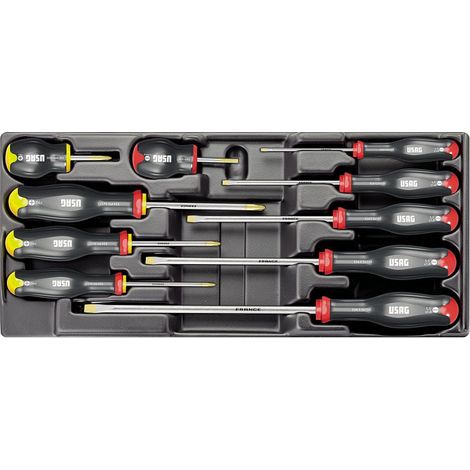 USAG Modulo Termoformato  10 Giraviti Intaglio PHILLIPS 519/324H 415x188mm