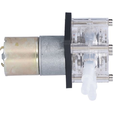 Pompe péristaltique à haut débit, résistante à la corrosion et silencieuse pour liquides visqueux, 0–400 ml/min, 12 V (1/5)
