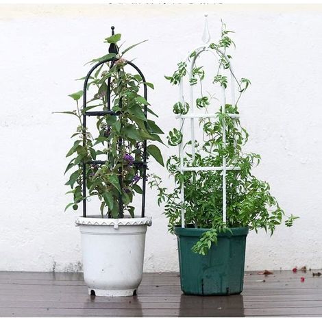 Tuteur enroulable en métal 75 x 25 cm Support pour plantes grimpantes, tomates, rosiers, lierre, idéal pour l'intérieur et l'extérieur (potager, jardin). (1/5)