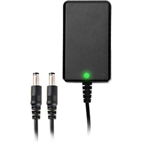 Chargeur double 21 V pour batterie lithium-ion Prunarbo 4A/2A, adaptateur secteur/CC