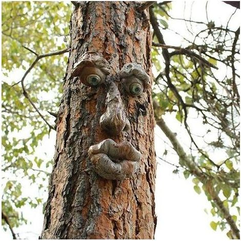 Decorazioni per alberi 3D raffiguranti il volto di un vecchio, divertente scultura a forma di volto di un vecchio, decorazione originale per il giardino (B) (1/5)
