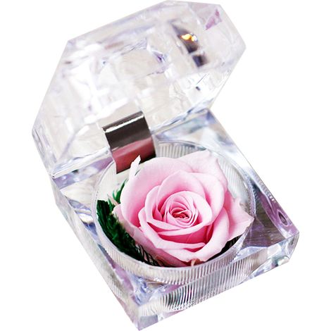 Rosa preservada en caja transparente, perfumada, eterna (1 unidad) (1/5)