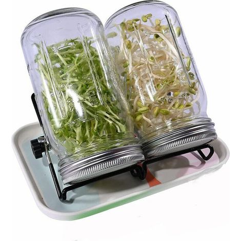 Bandeja germinadora de 946 ml (32 oz) para germinar semillas, con tapas, bandeja, soporte y dispensador de semillas de acero inoxidable. (1/5)