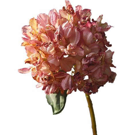 Künstliche Hortensienblüten, künstliche Blüten mit gebranntem Rand für Heimdekoration, Partydekoration, Hochzeitsdekoration, Tischdekoration (210826DY02-4) (1/5)