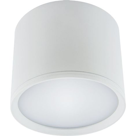 Spot de plafond LED aluminium Ø 12 cm rond en saillie blanc 4100 K blanc neutre 840 lm spot plafonnier