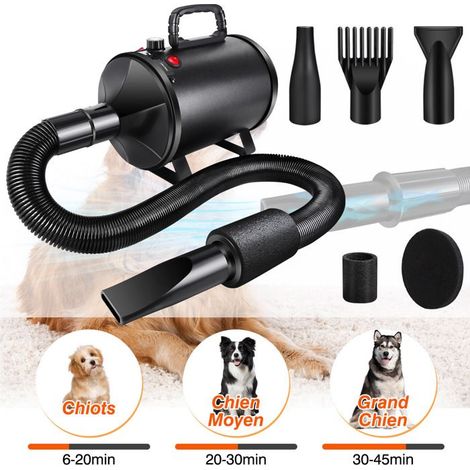 Souffleur pour chien - DAYPLUS - 2800W - Température réglable - 4 buses - Tuyau 2,3 m (1/2)