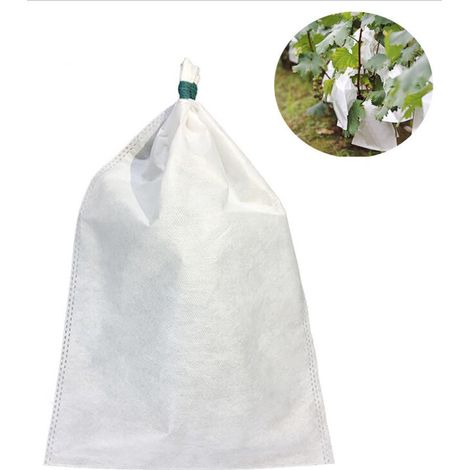 50 Stück Obsthüllen 20 x 30 cm – Atmungsaktiv, staubdicht, insekten- und vogelsicher (1/4)