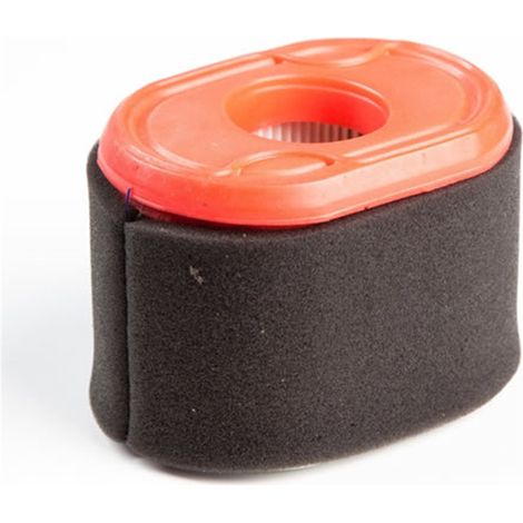Filtre à air BRIGGS & STRATTON 796970
