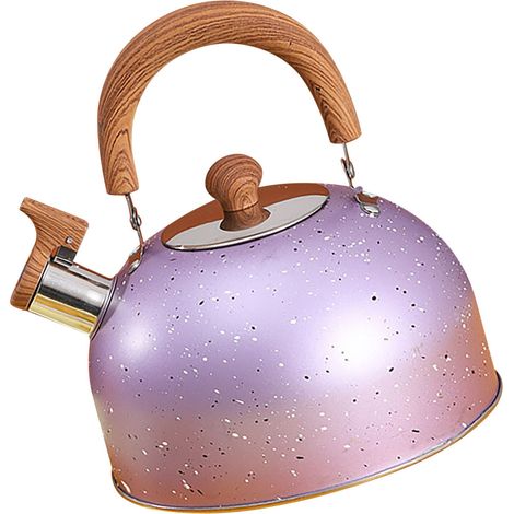 Wasserkocher aus Edelstahl, pfeifend, großes Fassungsvermögen, flacher Boden, für Gas- und Induktionsherde geeignet, kocht Wasser, 2 l, lila (1/5)