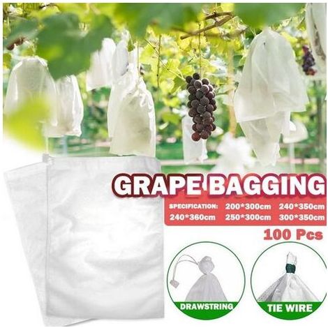 100 Sachets de Protection pour Fruits Sachets en Filet Protection Raisin contre Oiseaux et Insectes Guêpes Frelons 30 x 20 cm (1/4)