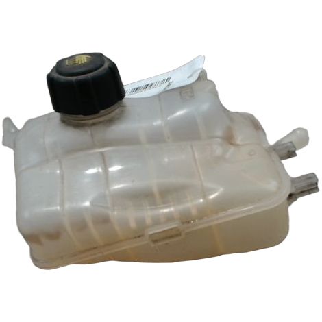 Vase Expansion RENAULT Megane Scenic III [PRODUIT D'OCCASION]♻️217100005r