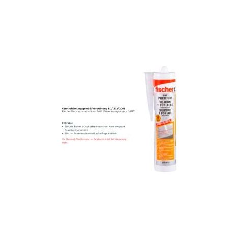 Fischer Silicone per Pietra Naturale DNS 310 ml trasparente - 053121 (1/3)