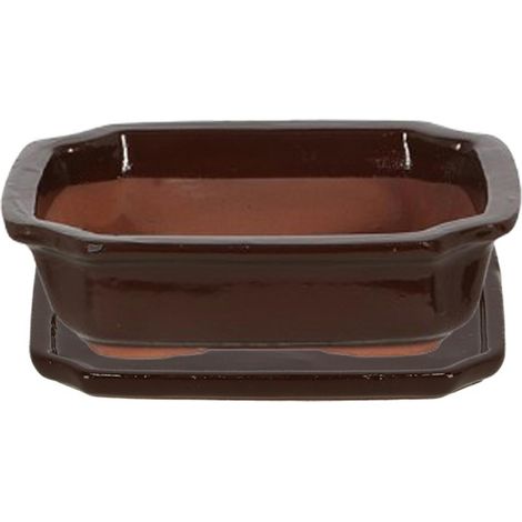 Maceta de terracota para bonsái, 21 x 6 cm. (1/5)