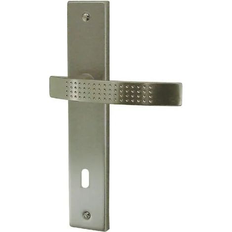 Ensemble Poignée Monz Clé Poignée De Porte Robuste En Zamak Finition Nickel Satiné Avec Fonction Clé. - Dt 2000