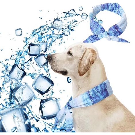Fascia rinfrescante per cani, collare rinfrescante per cani, bandana rinfrescante per cani, fascia rinfrescante, collare rinfrescante per cani, collare rinfrescante per cani, bandana rinfrescante per (1/5)