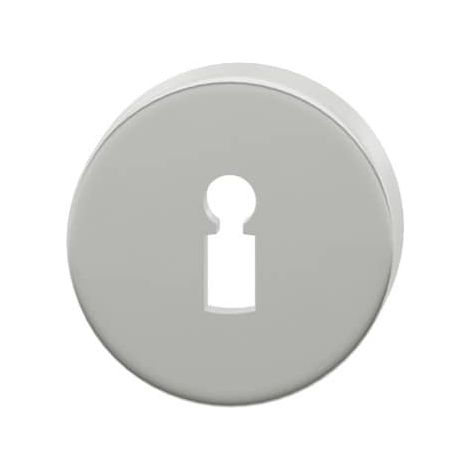 FSB Schlüsselrosette ASL® 12 1735, mit Nocken, Aluminium (1/2)