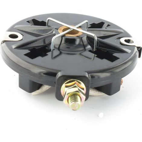 C谩rter Porte-Charbons 395537 BRIGGS et STRATTON (Livr茅 Charbons)