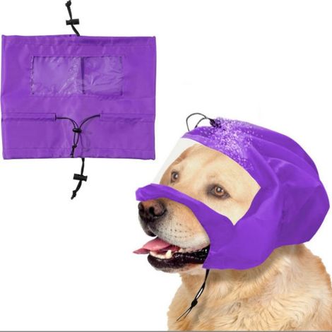 Chapeau de bain imperméable pour chien avec protection auditive Violet (1/4)