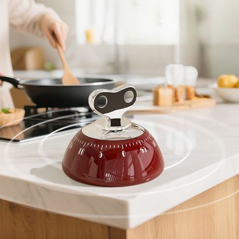 Küchentimer, 60-Minuten-Countdown-Timer mit magnetischer Befestigung, perfekt zum Kochen, Arbeiten und Lernen.