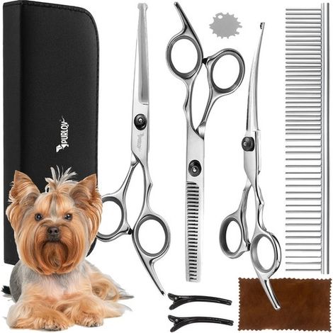 Ciseaux de toilettage professionnels pour chiens, pour la coupe et la finition à domicile, adaptés aux routines de soins réguliers des animaux de compagnie.-AquaForge (1/5)