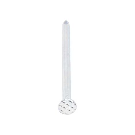 Chiodi Acciaio Inox Mm.2X30