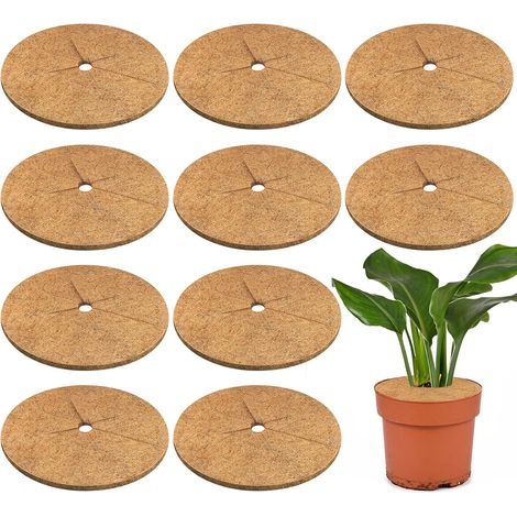 Lot de 10 Anneaux Paillage Coco 30 cm – Protection Plantes Jardin (1/5)