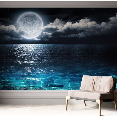 Carta da parati adesiva - fotomurale - facile da applicare - per la soggiorno - camera da letto - Mare notturno 312x219 cm (1/5)