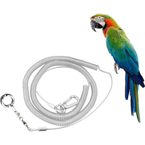 Harnais Pour Perroquet - Corde D'Entraînement Anti-Morsure 4 mm - Pour Vol En Extérieur - 1 Pièce (1/5)