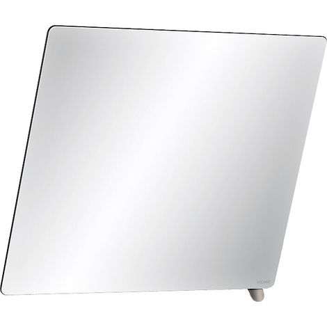 Miroir à pince Delabie 600x500 mm, poignée polie haute brillance (1/3)