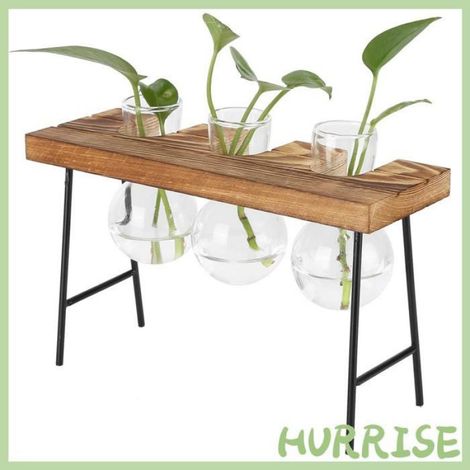 Garosa Vase végétal Desktop Glass Planter Wooden Stand Bulb Glass Vase Hydroponics Plant jardin moteur Trois bouteilles + banc (1/4)
